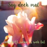 RIMG0231 - Arbeitskopie 2