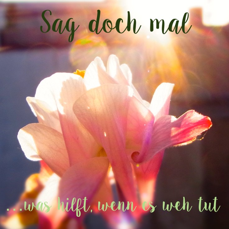 RIMG0231 - Arbeitskopie 2